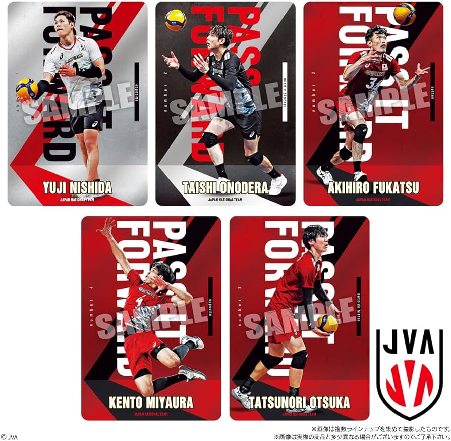 Amazon | バンダイ(BANDAI) JAPAN NATIONAL VOLLEYBALL TEAM ツイン