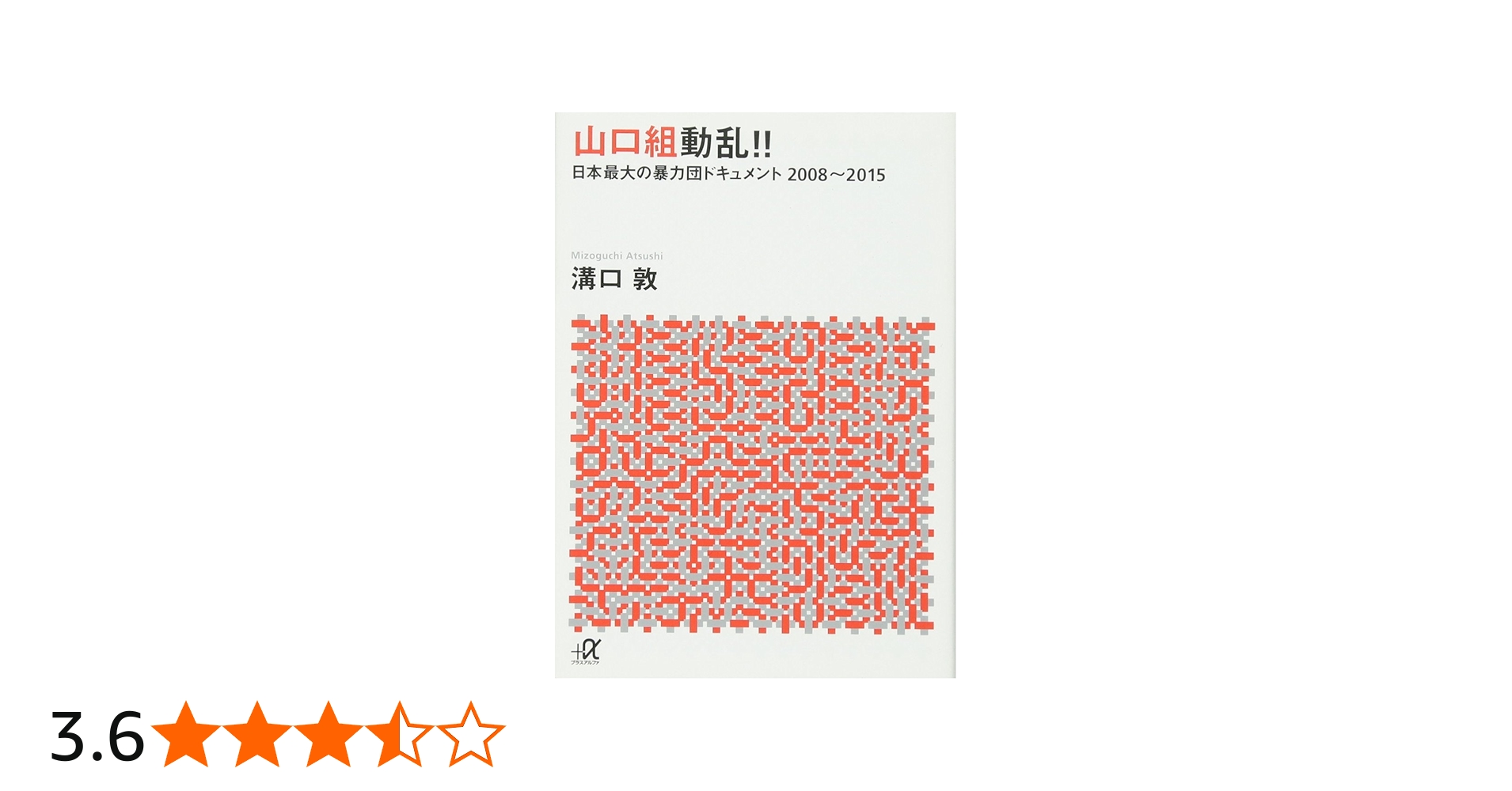 山口組動乱!! 日本最大の暴力団ドキュメント 2008~2015 (講談社+