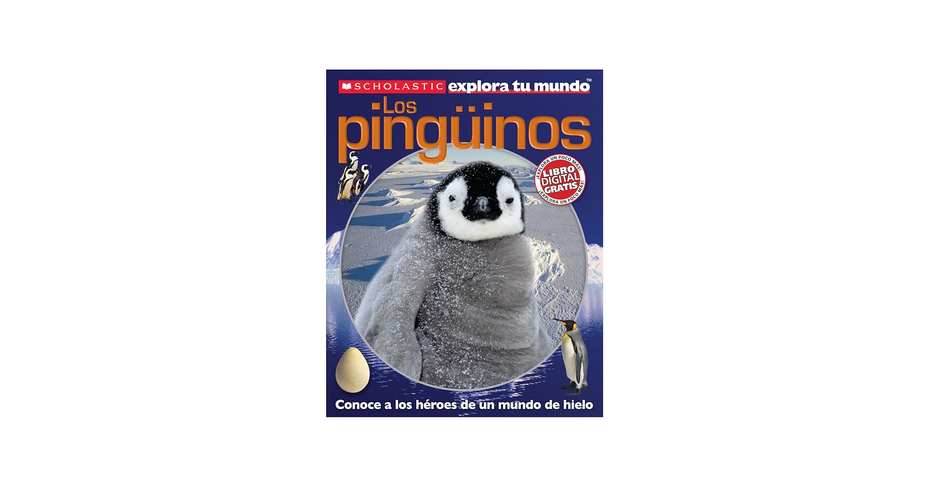 Scholastic explora tu mundo: Los pingüinos: (Spanish language