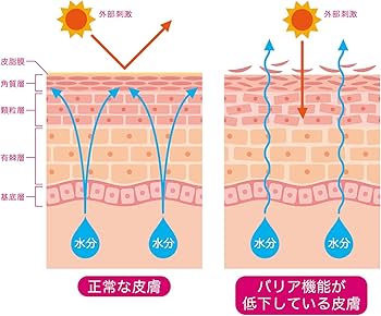 Amazon | サンミモレ 新スキンケアファンデーションS31号 アイボリー