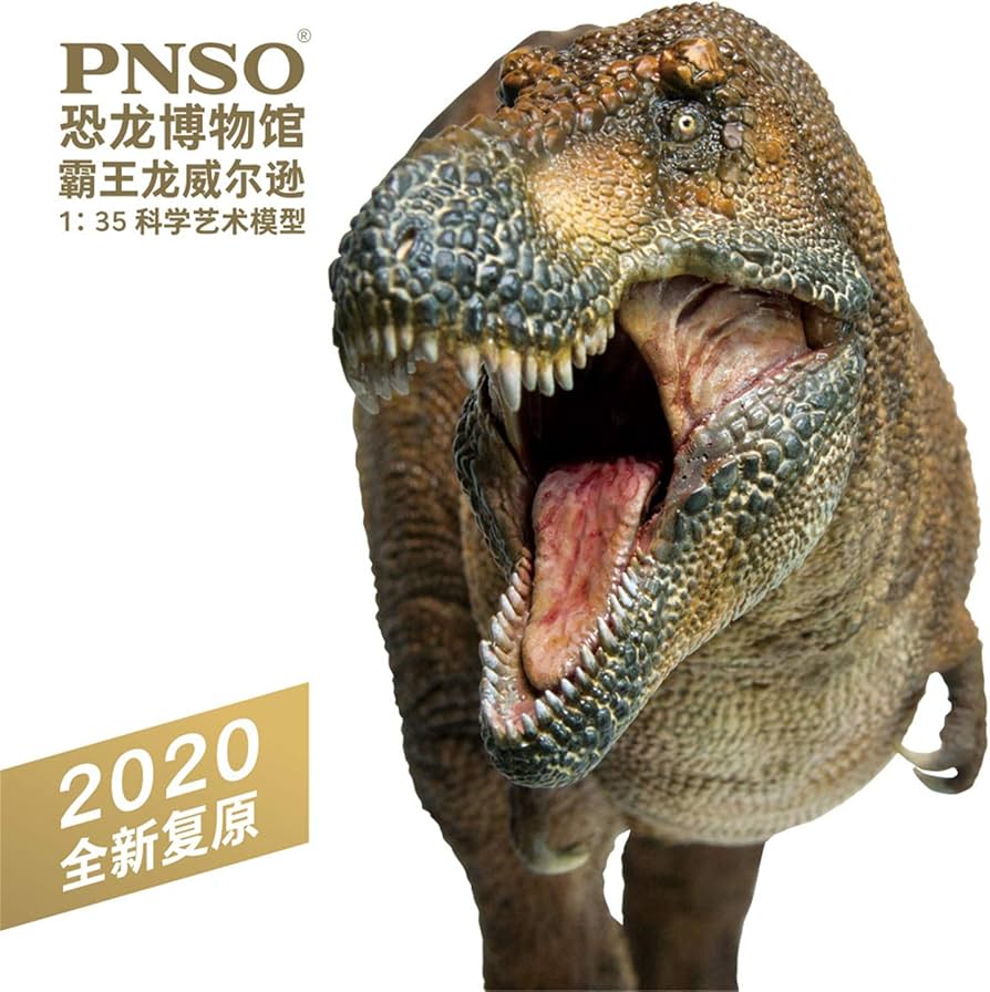 Amazon.co.jp: PNSO 恐竜博物館 1/35 サイズ ティラノサウルス リアル
