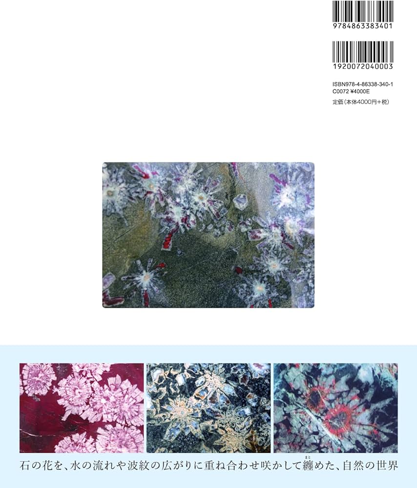 NEO菊花石 | 石原 宣夫 |本 | 通販 | Amazon