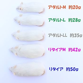 Amazon | 冷凍マウス リタイア 10匹 国産 SAfarm | SAfarm | フード 通販