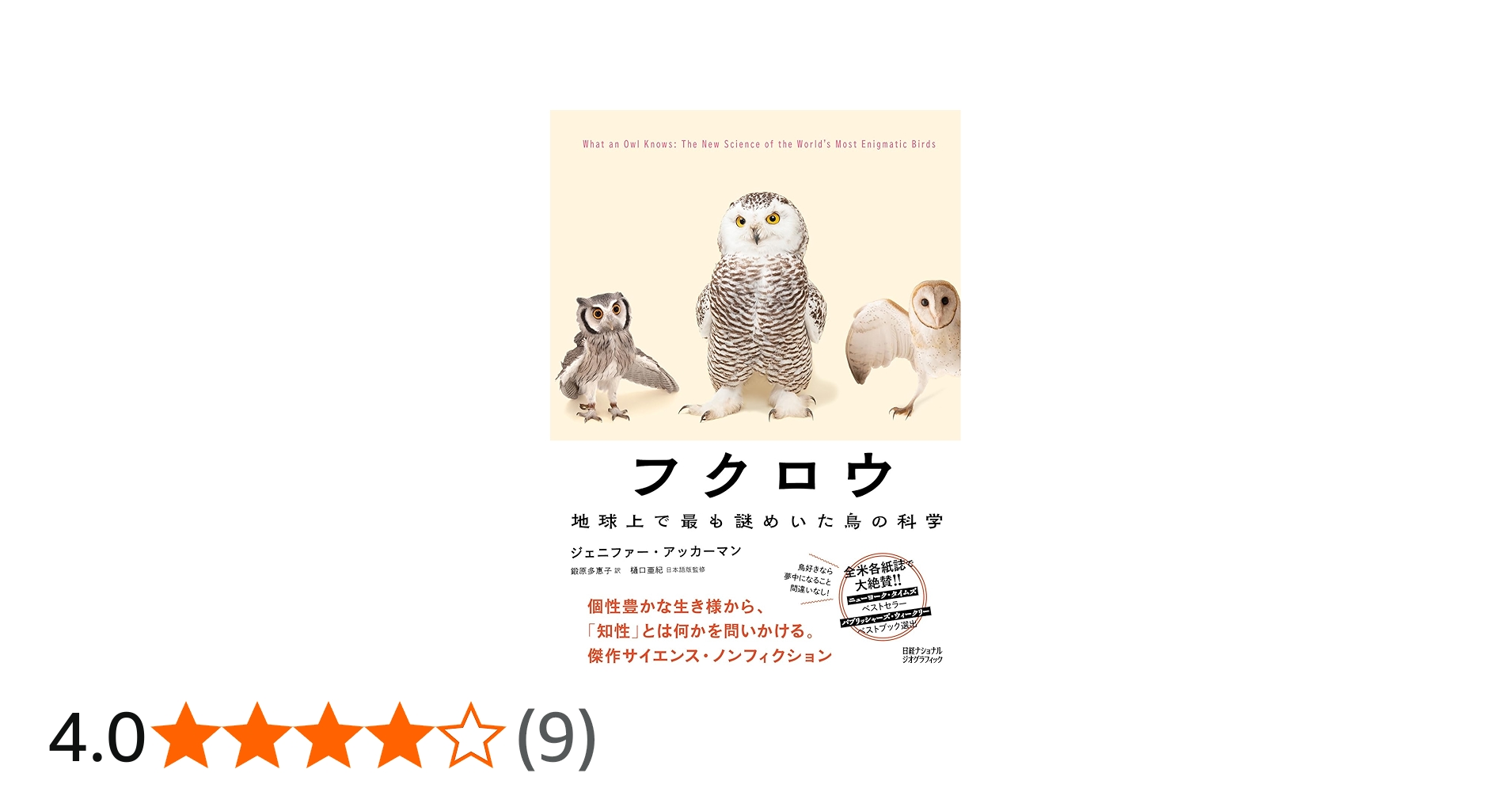 71IB4ttuaCL.jpg_BO30,255,255,