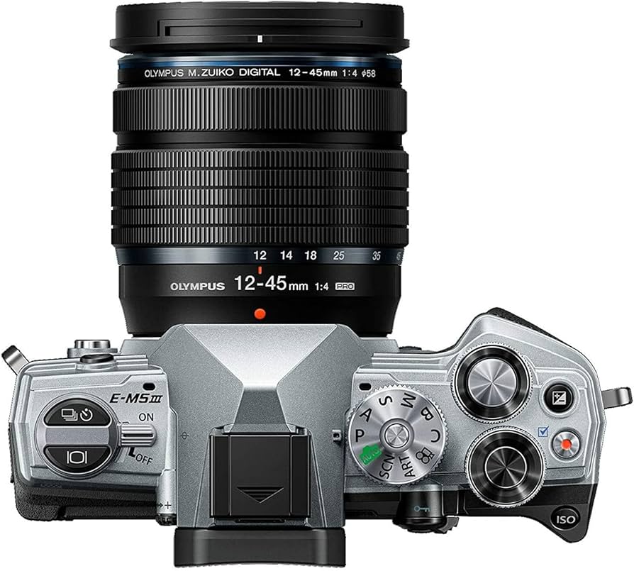 Amazon.com : OM SYSTEM Olympus OM-D E-M5 Mark III Silver Body with