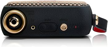 Amazon | 【VGP 2025 受賞】 Positive Grid Spark GO ギターアンプ