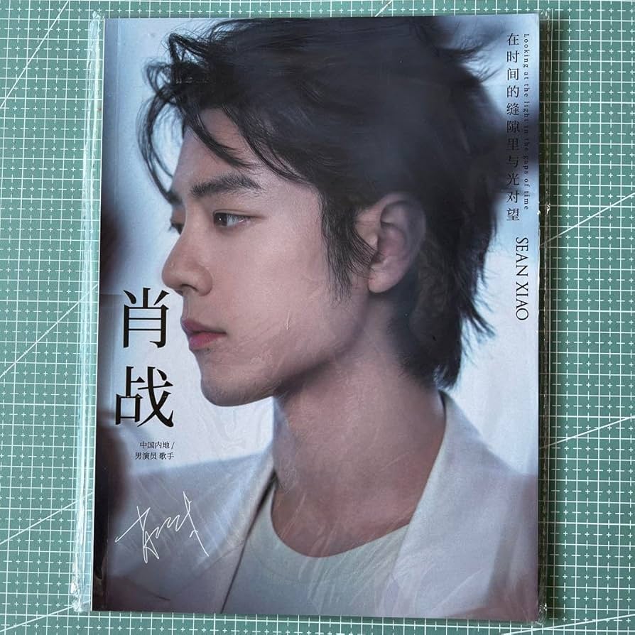 Amazon.co.jp: 陳情令 肖戦 シャオジャン A4写真集 64ページ : おもちゃ
