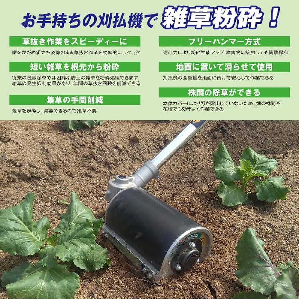 71JPJJSQ7lL._AC_UF1000,