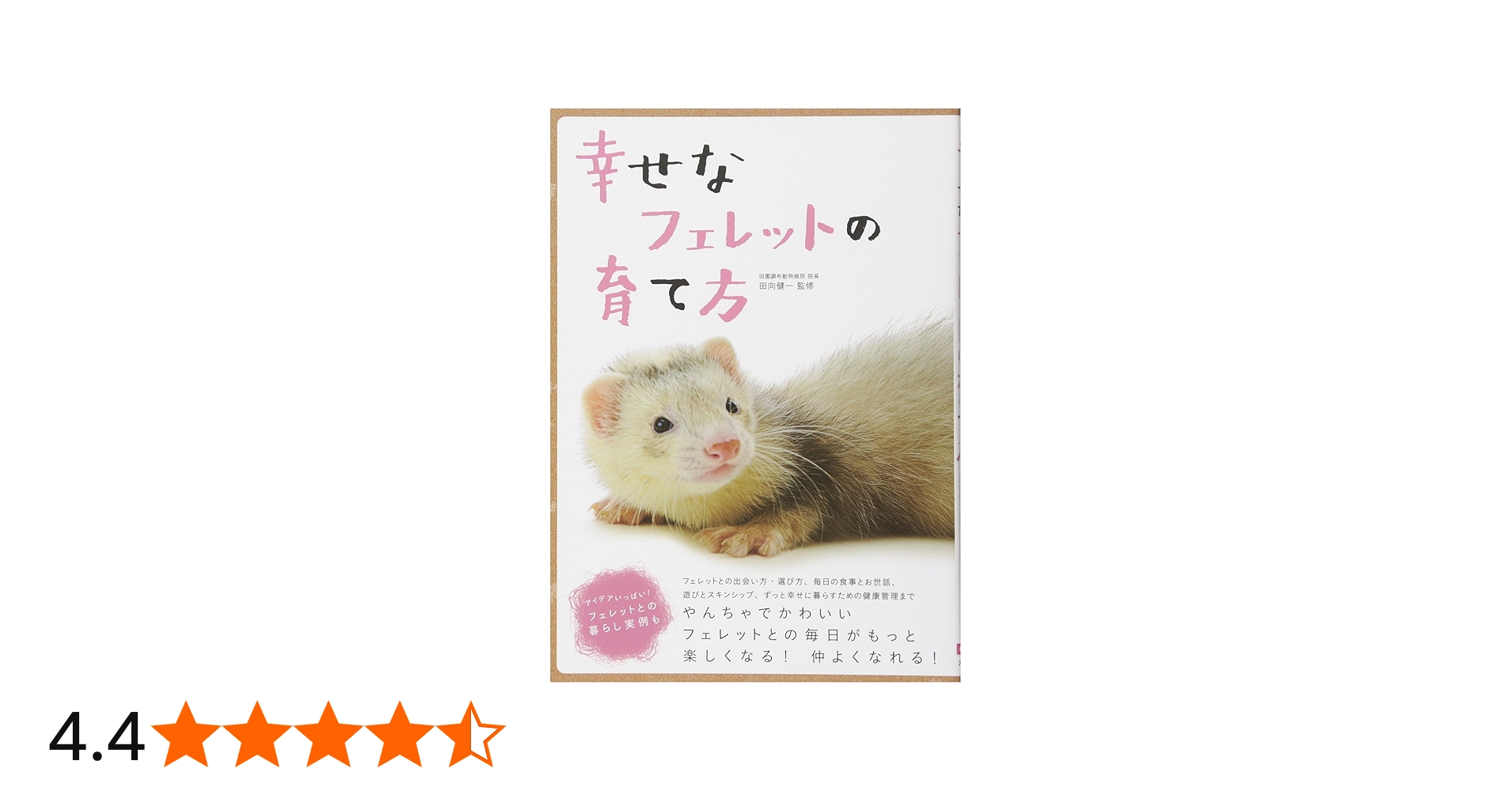 Amazon.co.jp: 幸せなフェレットの育て方 : 田向 健一: 本