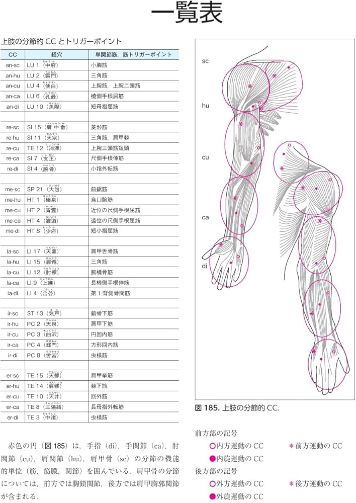 Amazon.co.jp: 筋膜マニピュレーション 理論編 原著第2版: 筋骨格系