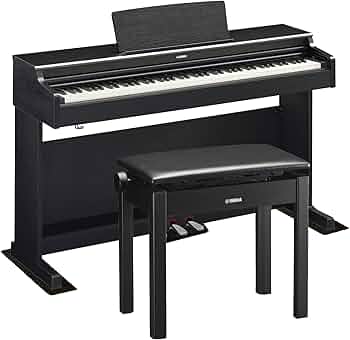 71LNa4JtWBL._AC_UF350,