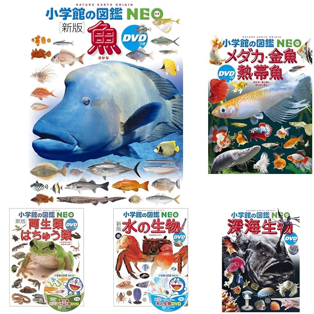 淡水微生物図鑑 ガイドブック 13 淡水微生物図鑑 ガイドブック 0 淡水