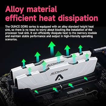 DDR5 32GB 5600MHz Ram（16GB×2）(PC4-44800) Desktop (DIMM) Computer