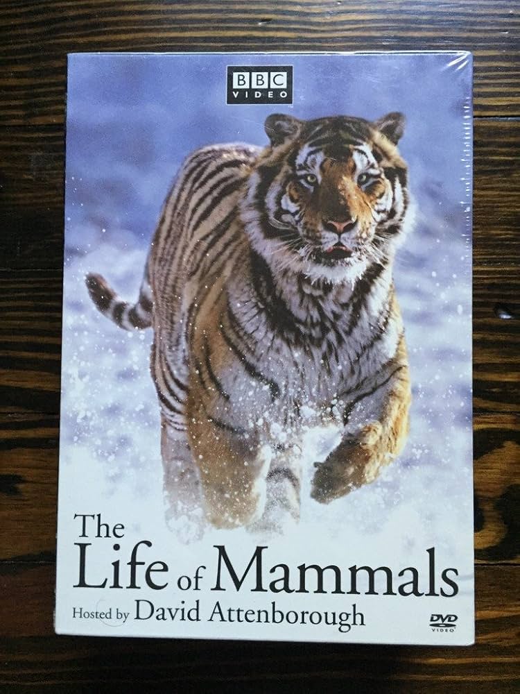 Amazon.com: The Life of Mammals : David Attenborough: Movies & TV