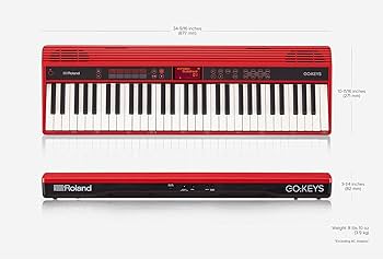 Amazon.co.jp: ローランド Entry Keyboard Roland GO-61K : Musical