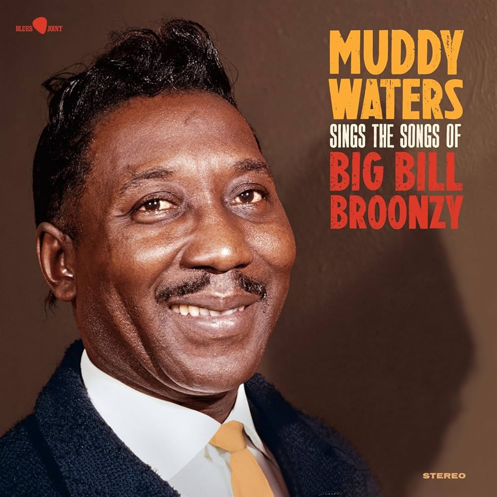 Muddy Waters - Sings The Songs Of Big Bill Bronzy - Limited 180