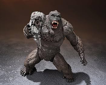 71NXpVqop1L._AC_UF350,