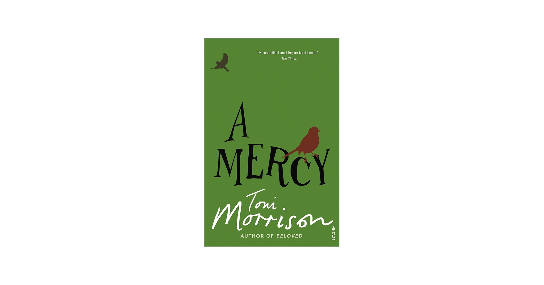A Mercy: morrison-toni: 9780099502548: Amazon.com: Books
