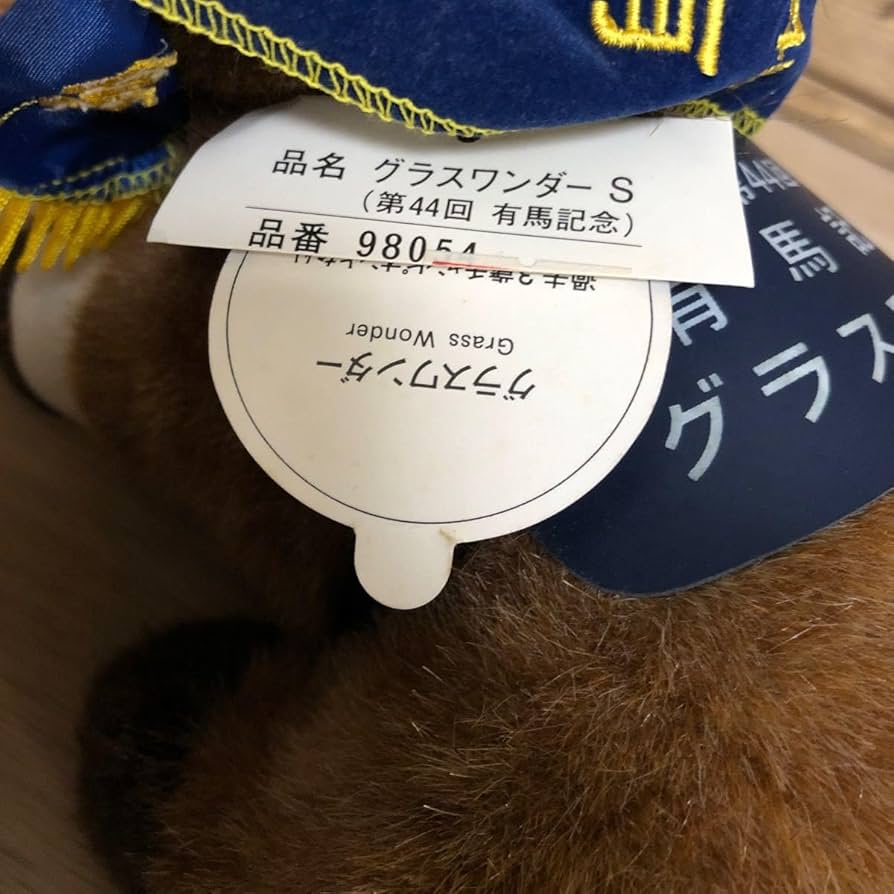 71OGwQanxRL._AC_UF894,