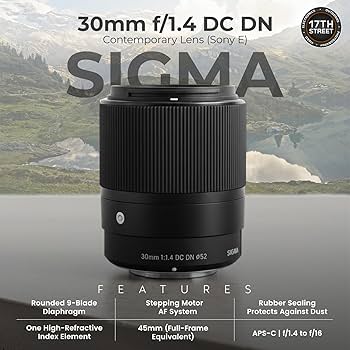 Amazon.com : Sigma 30mm f/1.4 DC DN Contemporary Lens for Sony E
