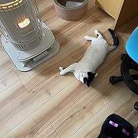 Amazon | Corona コロナ ポータブル石油ストーブ（対流型） SLシリーズ