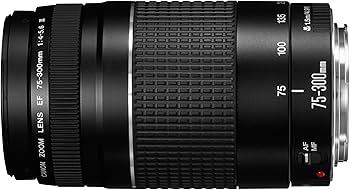 Canon EF 75-300mm f/4-5.6 III Telephoto Zoom Lens : Amazon.ca