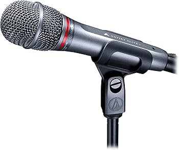 Amazon.com: Audio-Technica AE6100 Hypercardioid Dynamic Handheld