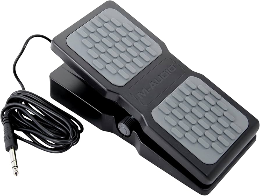 Amazon.com: M-AUDIO EX-P Expression Pedal for Keyboards, MIDI