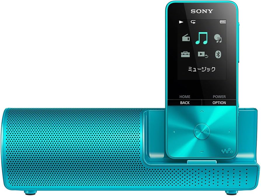 Amazon.co.jp: ソニー ウォークマン Sシリーズ 16GB NW-S315K : MP3