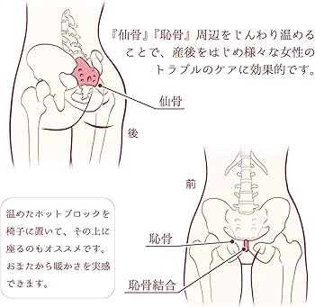 Amazon.co.jp: カミンアンドプライ 桜島 溶岩石 ホットブロック タイ