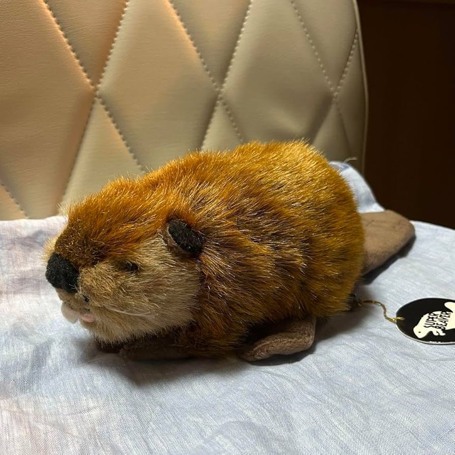 Amazon.co.jp: SUPER BEAVER×吉徳 ぬいぐるみ スーパービーバーちゃん