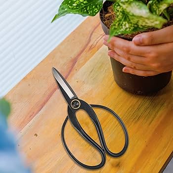 Amazon | LACKINGONE プロ仕様 盆栽はさみ 7.35インチ 園芸用盆栽鋏