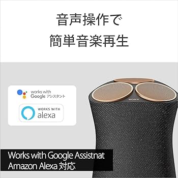 Amazon.co.jp: SONY ワイヤレススピーカー SRS-RA5000 : 家電＆カメラ