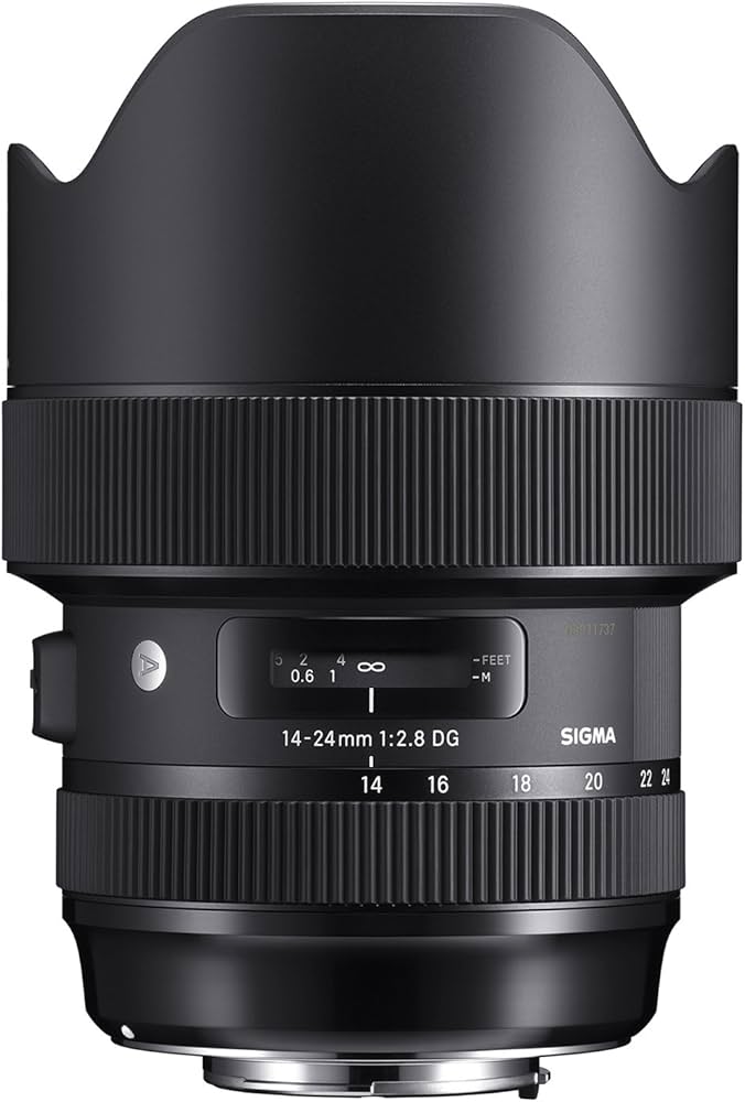 Amazon.com : Sigma 14-24mm F2.8 DG HSM, Black (212955) for Nikon