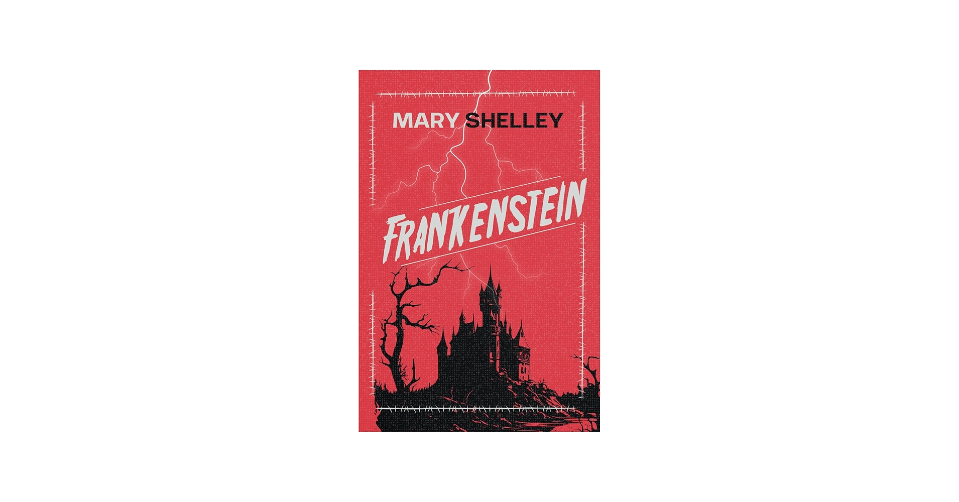 Amazon.com: Frankenstein: 9798340808059: Shelley, Mary: Books