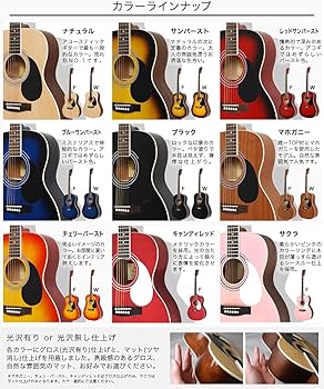 Amazon | HONEY BEE アコースティックギター フォークギタータイプ F