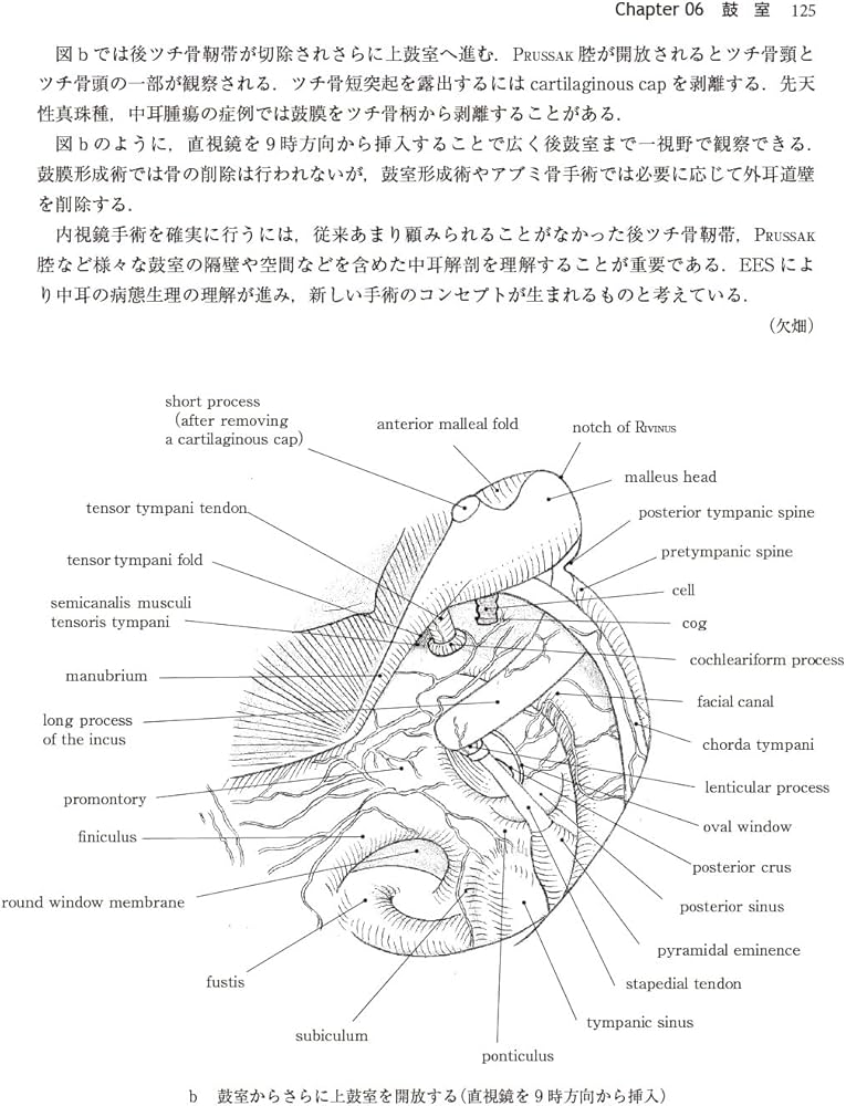 耳科学アトラス -形態と計測値- 第5版 | 野村 恭也, 原田 勇彦, 奥野