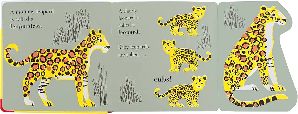 Animal Families: Safari: Ormes, Jane: 9781536211993: Amazon.com: Books