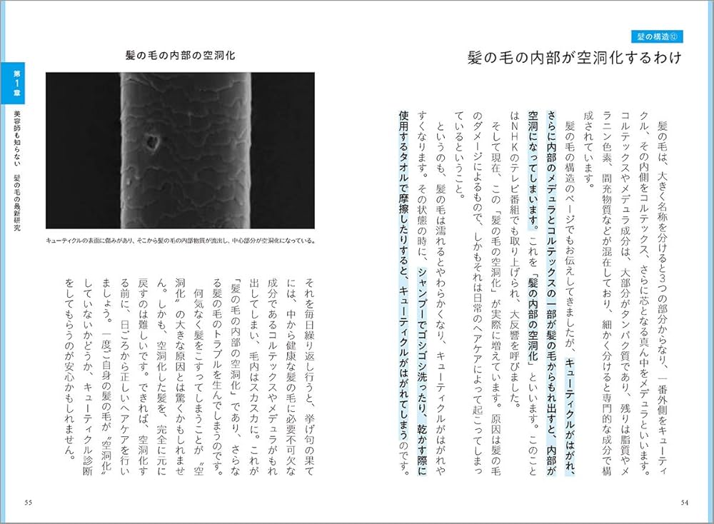 Amazon.co.jp: 髪のスペシャリストが教える髪の大事典 傷んだ髪は復元