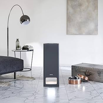 Amazon.co.jp: バルミューダ ザ・ピュア 空気清浄機 ダークグレー