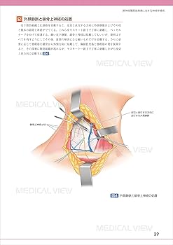 末梢神経障害・損傷の修復と再建術 (OS NEXUS(電子版付き) 17) | 岩崎