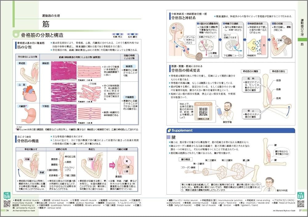 病気がみえる vol.11 運動器・整形外科 第2版 | 医療情報科学研究所