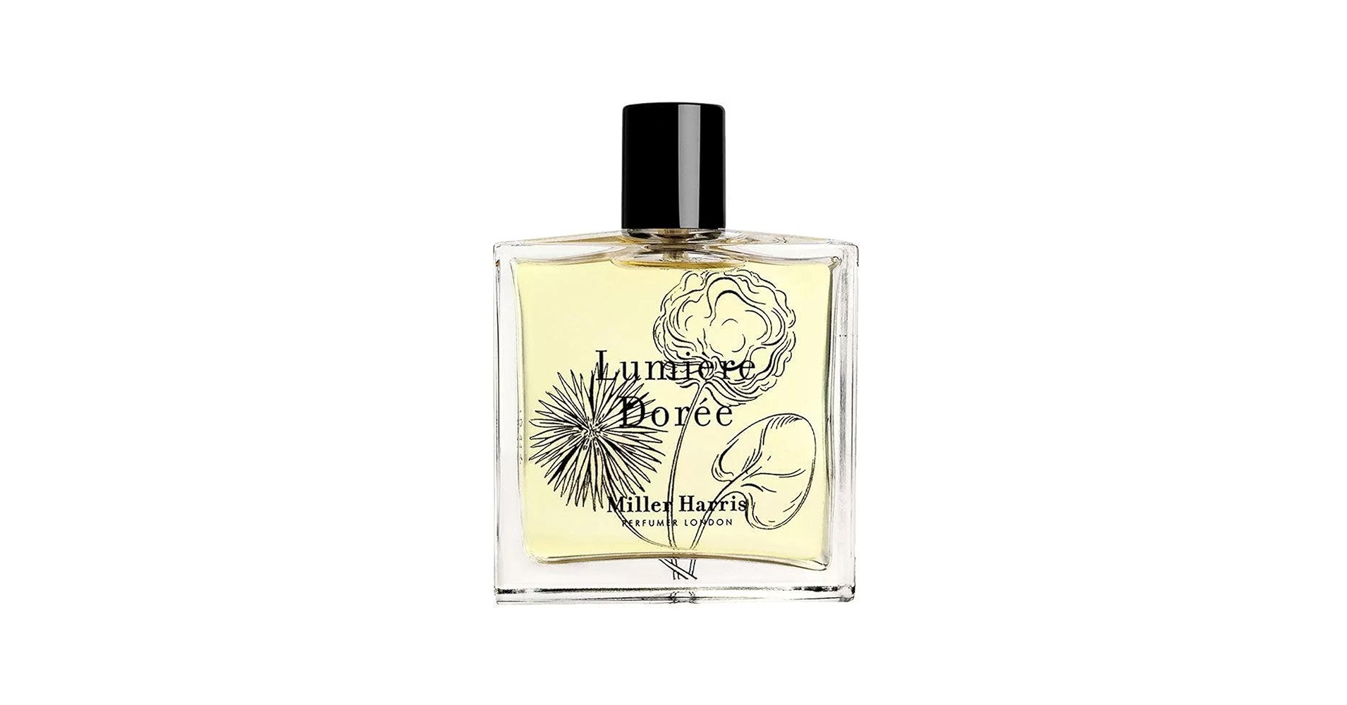 Amazon | 【ミラーハリス】ルミエール ドーレ（リュミエール ドレ