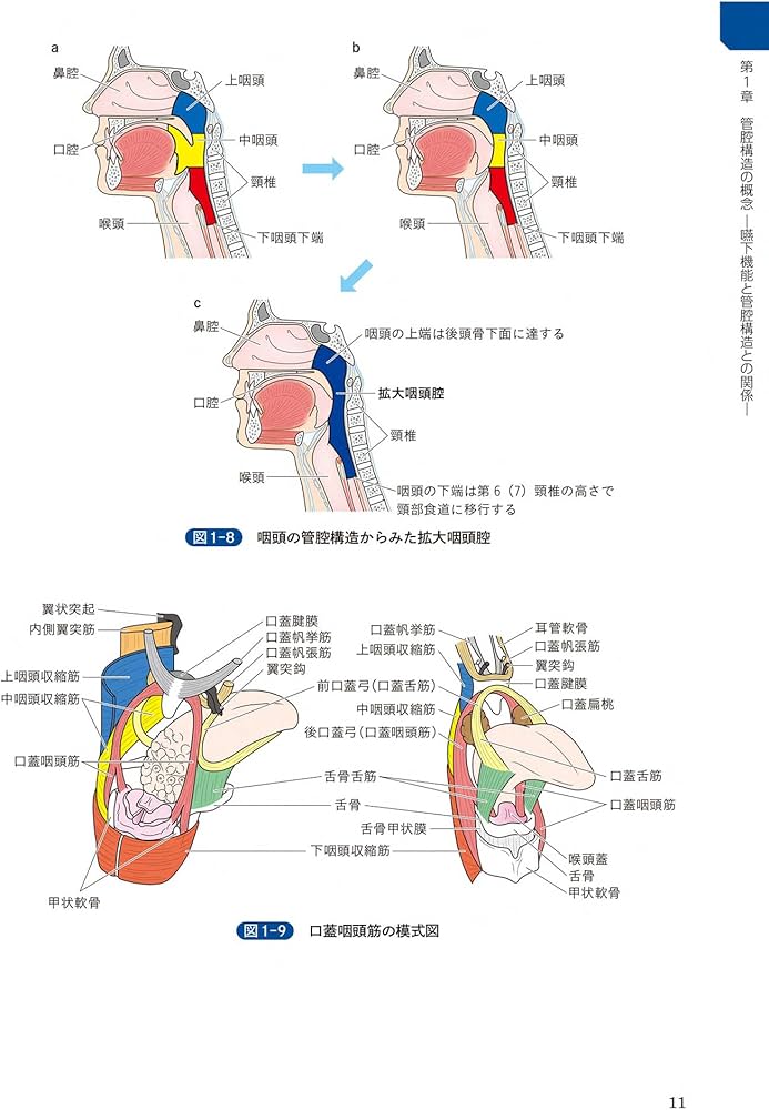 頭頸部外科診療に役立つ 頭頸部管腔構造の理解 | 西嶌 渡 |本 | 通販