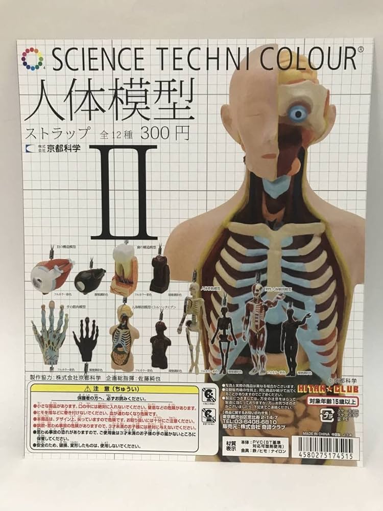 Amazon | サイエンステクニカラー 人体模型ストラップ キタンクラブ DP