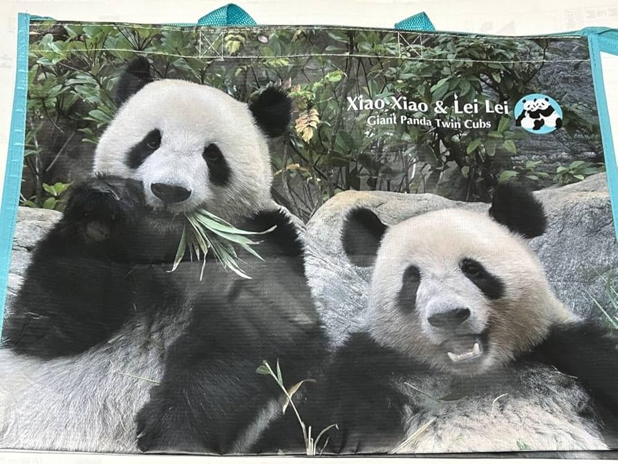 上野動物園 シャオシャオ&レイレイ タンブラー＋アニア＋クリア