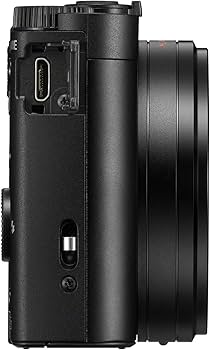 Buy Sony DSC-WX800 Cybershot 18.2MP Compact High-Zoom Camera with