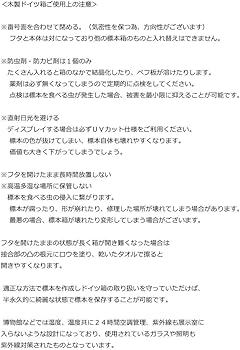 Amazon.co.jp: 【厚型80UVカット】大型ドイツ型標本箱（黒
