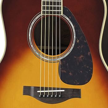 Amazon | ヤマハ YAMAHA アコースティックギター LL6 ARE BS パッシブ