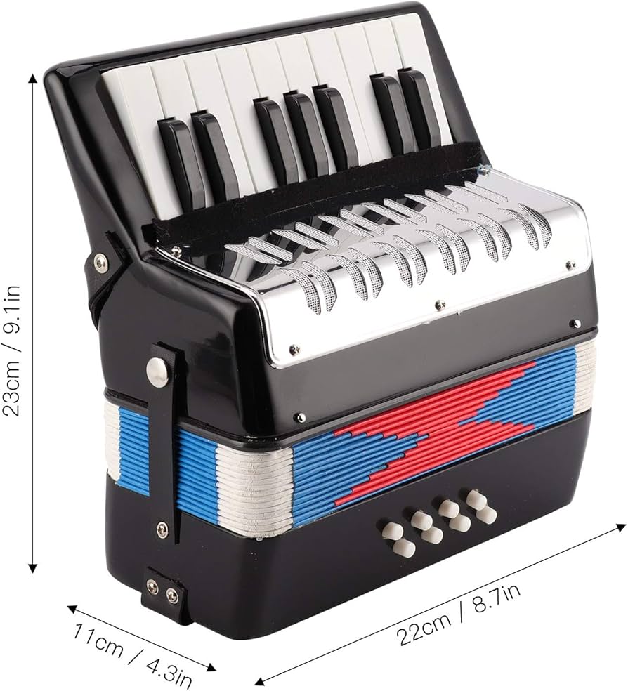 Amazon.com: Eujgoov Accordion Musical Piano Keyboard Rhythm